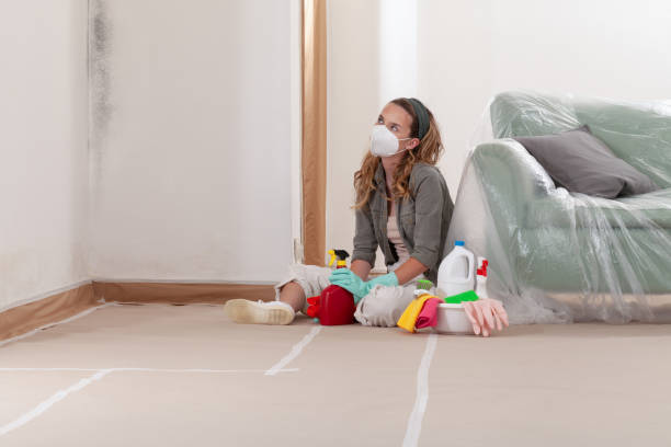 Reliable Hvac And Air Duct Mold Remediation contractor in Central City, IL by 24 Hour Mold Removal